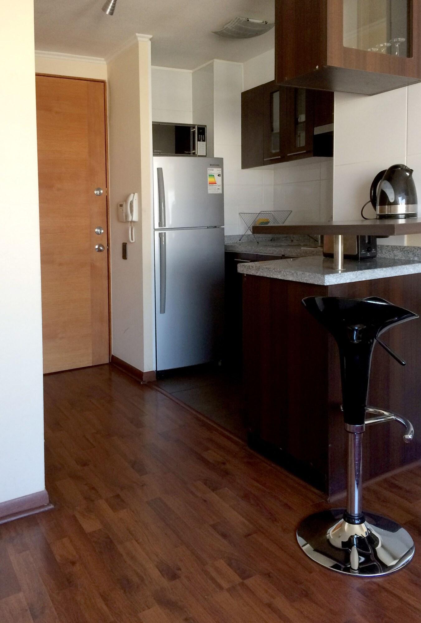 Santiago Furnished Apartments Esterno foto